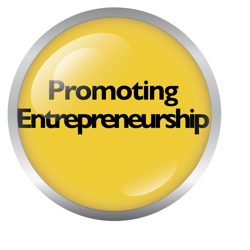 Promoting Entrepreneurship