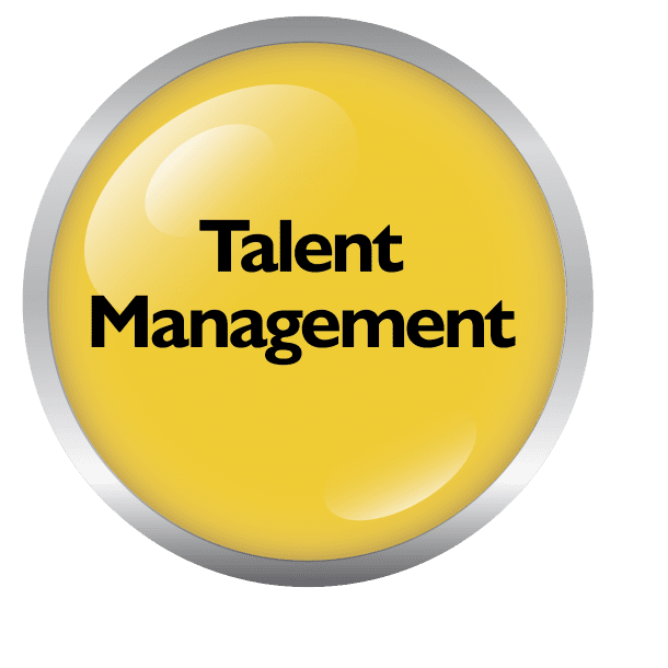 Talent Management Spice Framework