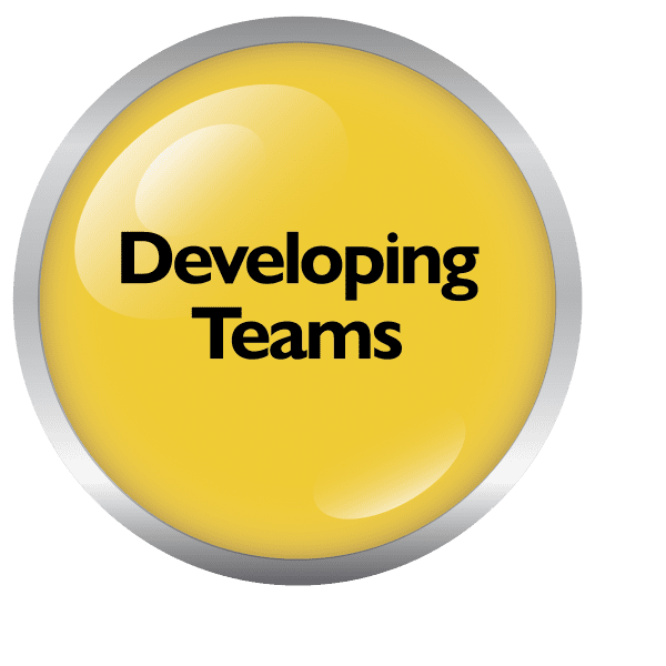 Developing Teams