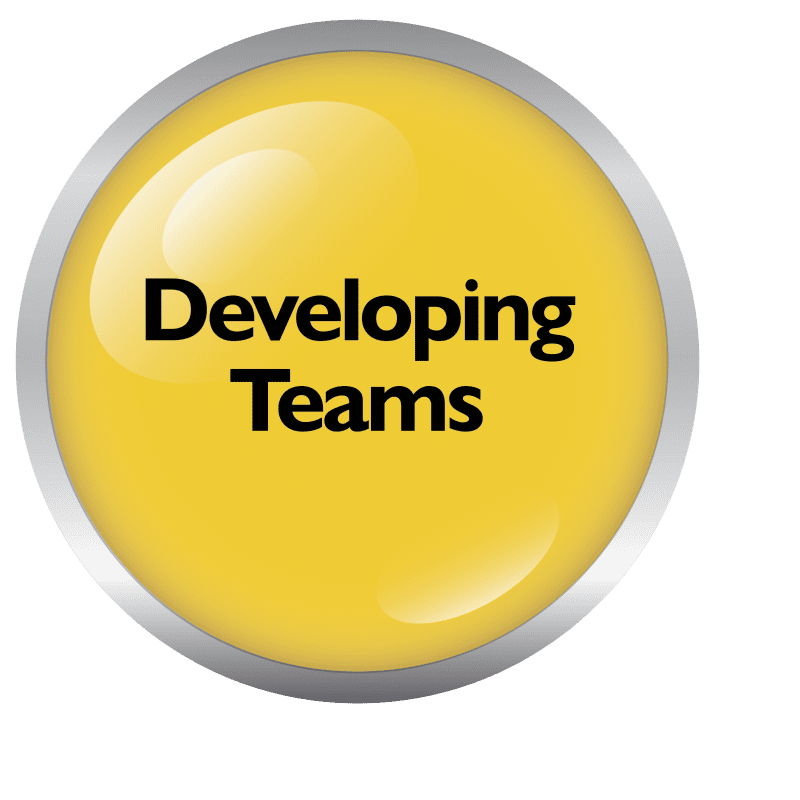 Developing Teams