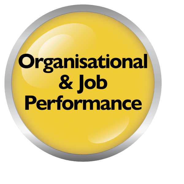 Organisational and Job Performance