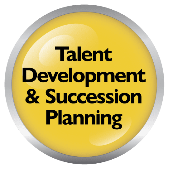 Talent Development and Succession Planning
